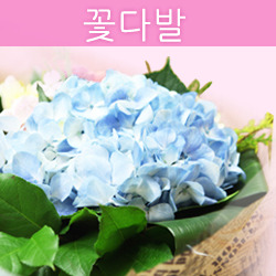 ������ ī�װ��� #1