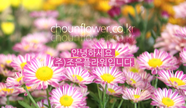 �Ұ��̹���