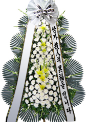 new����3��ȭȯn8