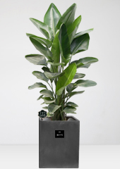 [����������]�ض���1